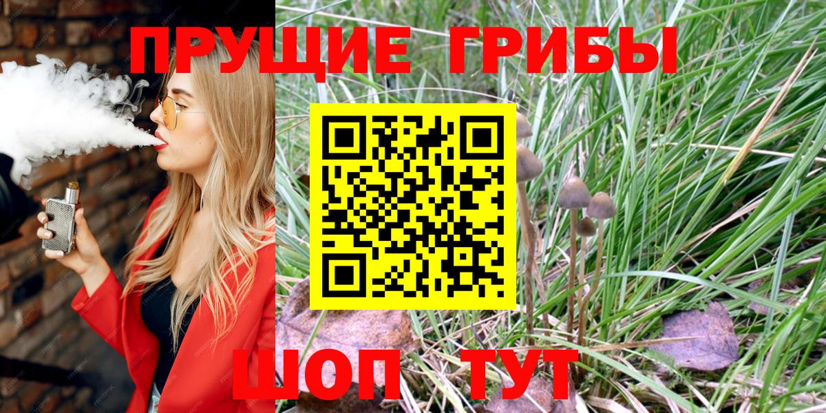 Галлюциногенные грибы Psilocybe  Псилоцибиновые грибы мухоморы  Петропавловск-Камчатский  купить наркотик  Вход с VPN 