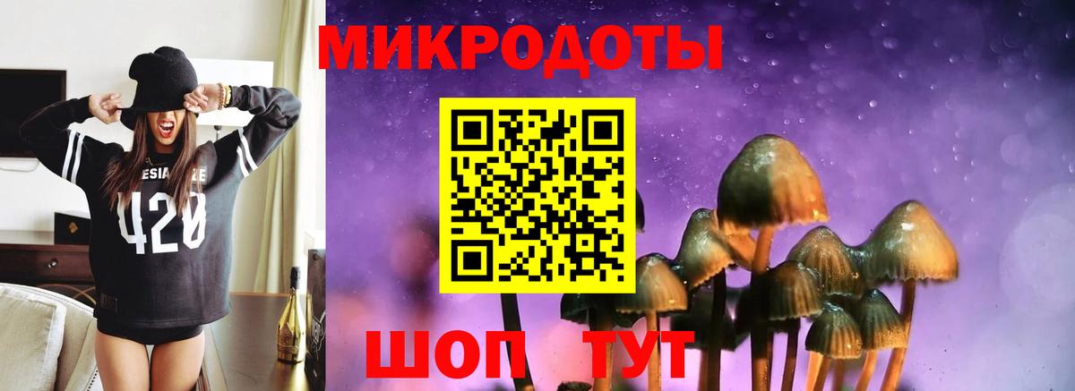 Псилоцибиновые грибы GOLDEN TEACHER Петропавловск-Камчатский